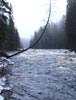 Бурная река Янисьёкки